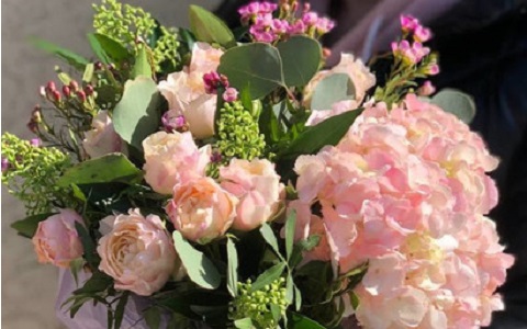 banner-small-3