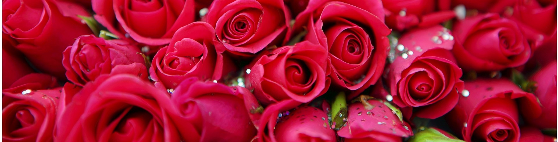 banner-big